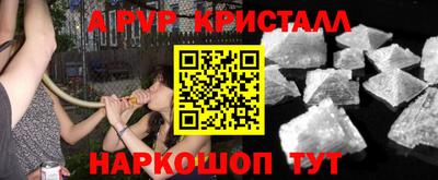 спиды Сланцы