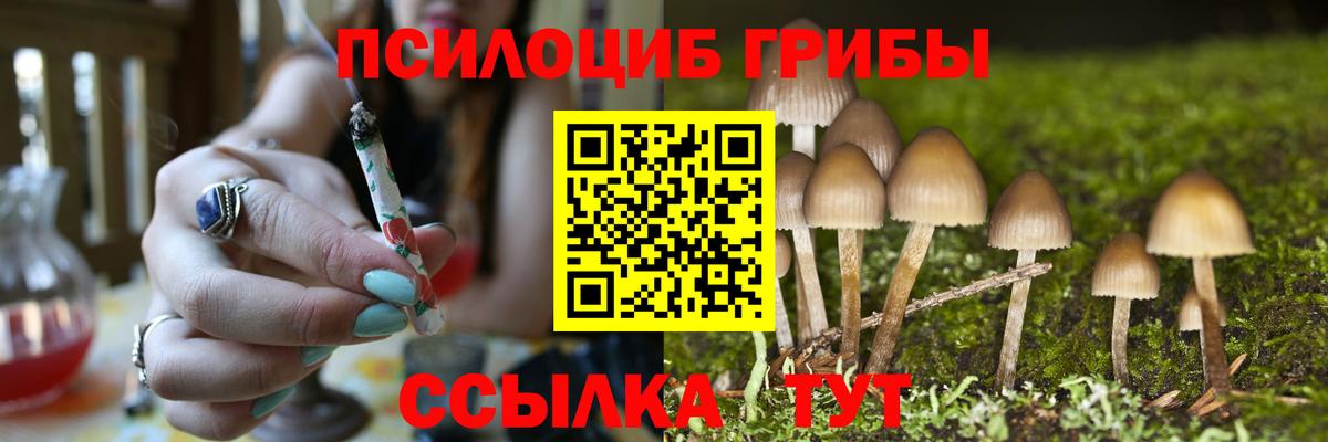 Галлюциногенные грибы Psilocybine cubensis Урюпинск